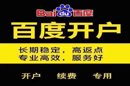百度广告推广实战案例解析